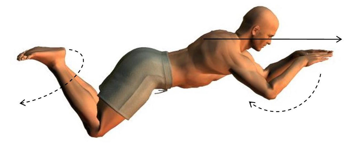 Breaststroke Teaching Resources