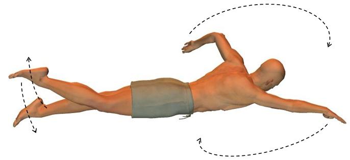 Front Crawl Teaching Resources