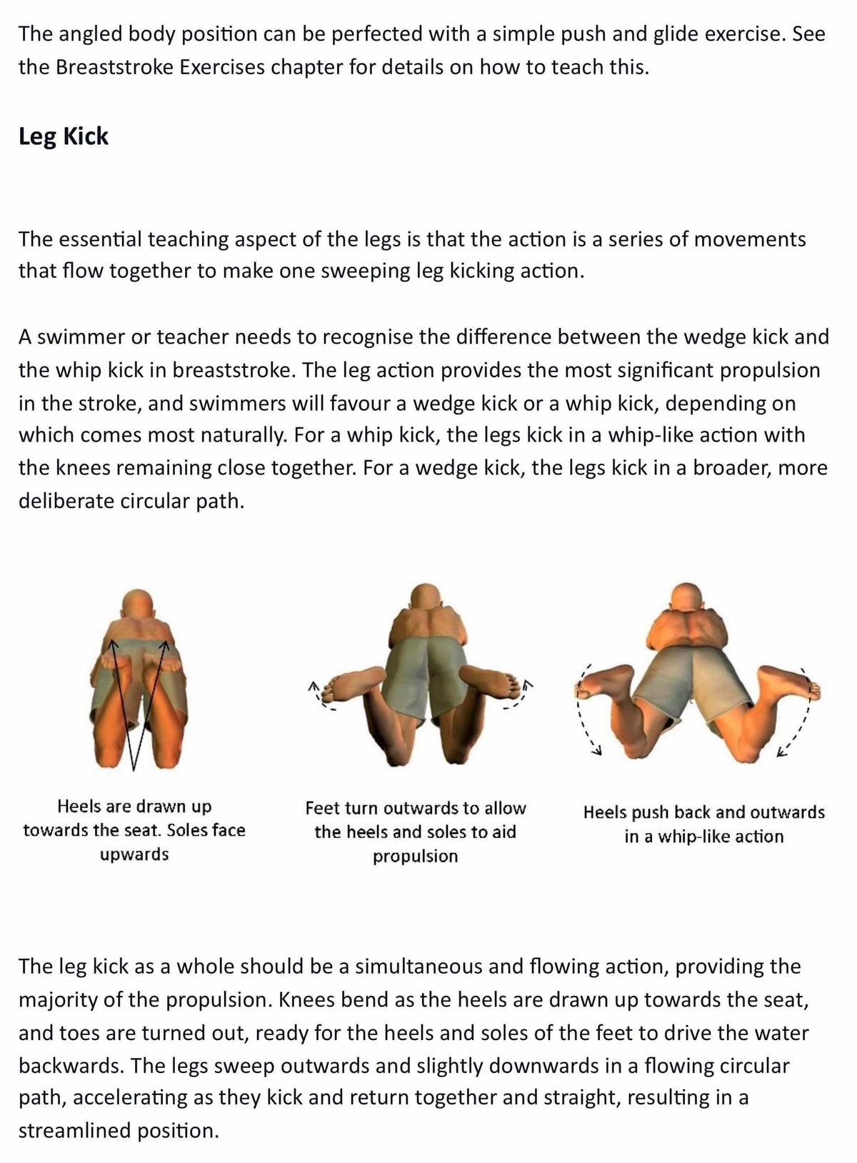 Illustration of leg kick technique with labeled steps from How To Teach Breaststroke ebook by Mark Young