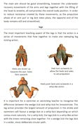 Breaststroke leg kick technique description taken from The Swimming Strokes Book by Mark Young