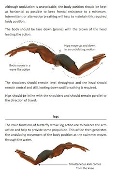 Butterfly stroke body movement technique from How To Swim Butterfly by Mark Young